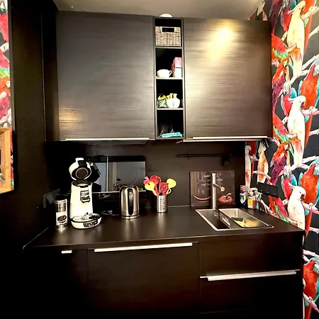 Dompanorama Papagena 1-zimmer Fuer 2pers Apartment *