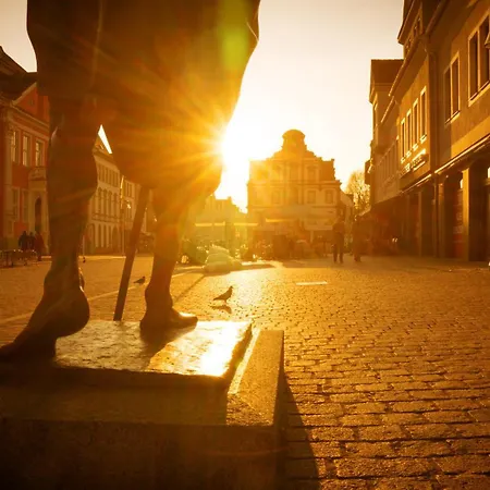 Dompanorama Papagena 1-zimmer Fuer 2pers Apartment *