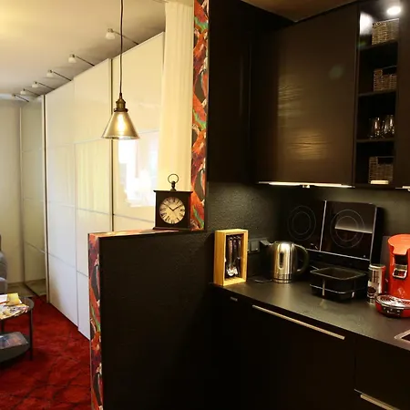 Dompanorama Papagena 1-zimmer Fuer 2pers Apartment *