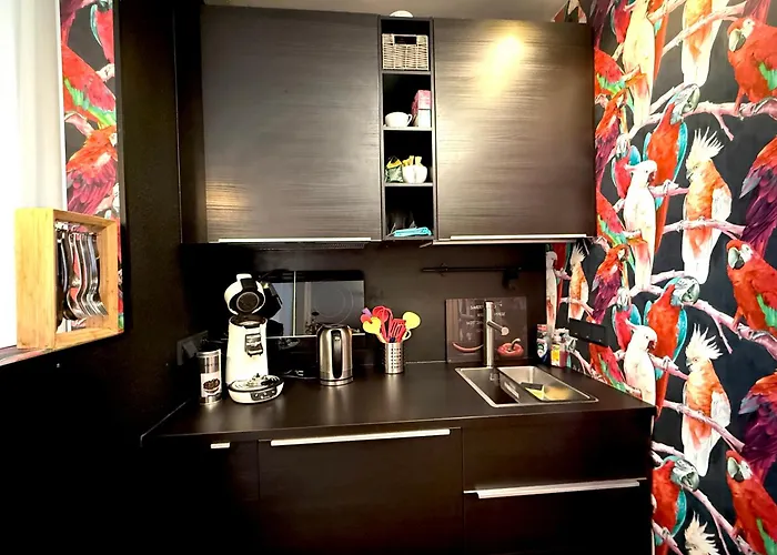 Dompanorama Papagena 1-zimmer Fuer 2pers Appartement *