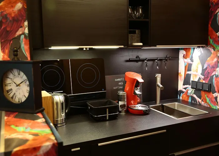 Dompanorama Papagena 1-zimmer Fuer 2pers Appartement Spire